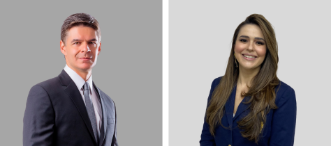 Direito Constitucional